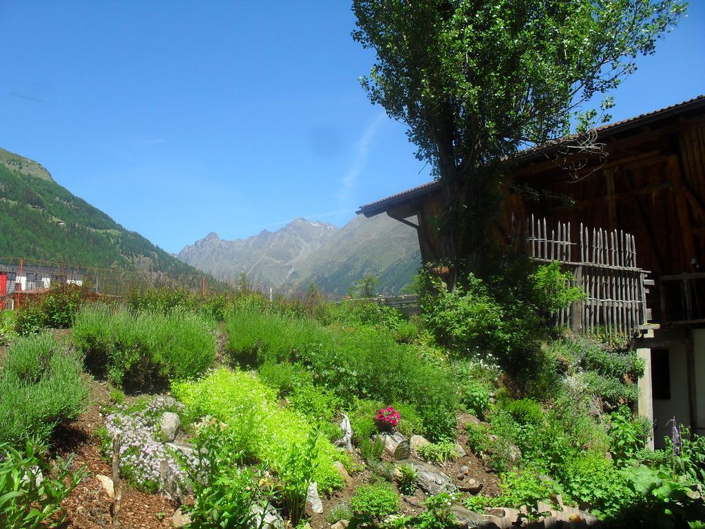 Almhof Appartement Sölden Buitenkant foto